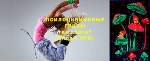 не бодяженный Надым