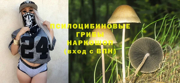 не бодяженный Надым