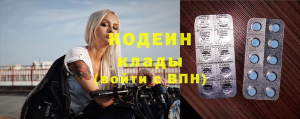 ГАЛЛЮЦИНОГЕННЫЕ ГРИБЫ Михайлов