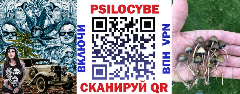 Галлюциногенные грибы прущие грибы  Знаменск 
