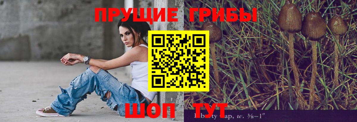 Псилоцибиновые грибы MAGIC MUSHROOMS Знаменск